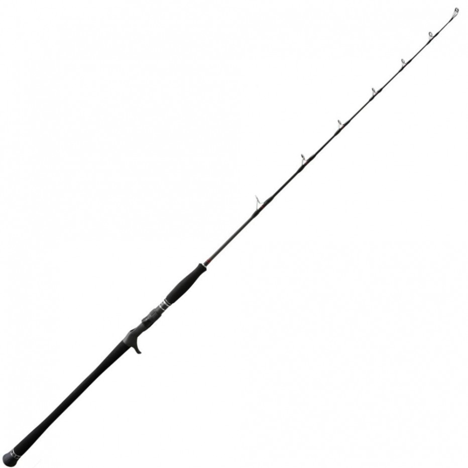Baitcast Ruten NS Black Hole Schwarzes Auge Magie