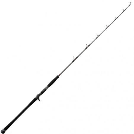 Baitcast Ruten NS Black Hole Schwarzes Auge Magie