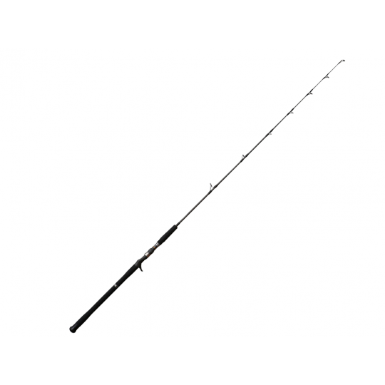 Baitcast Ruten NS Black Hole Boca S Jigging