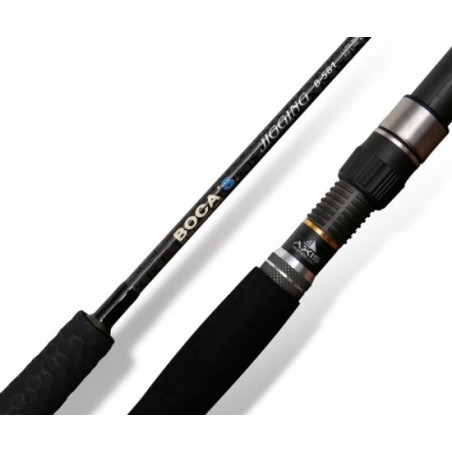 Baitcast Ruten NS Black Hole Boca S Jigging