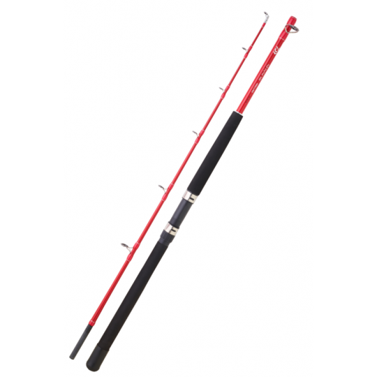 Angelruten Schleppen Daiwa Sensor Trolling