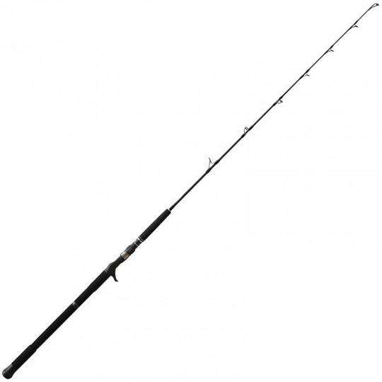 Baitcast Ruten NS Black Hole Boca Jigging