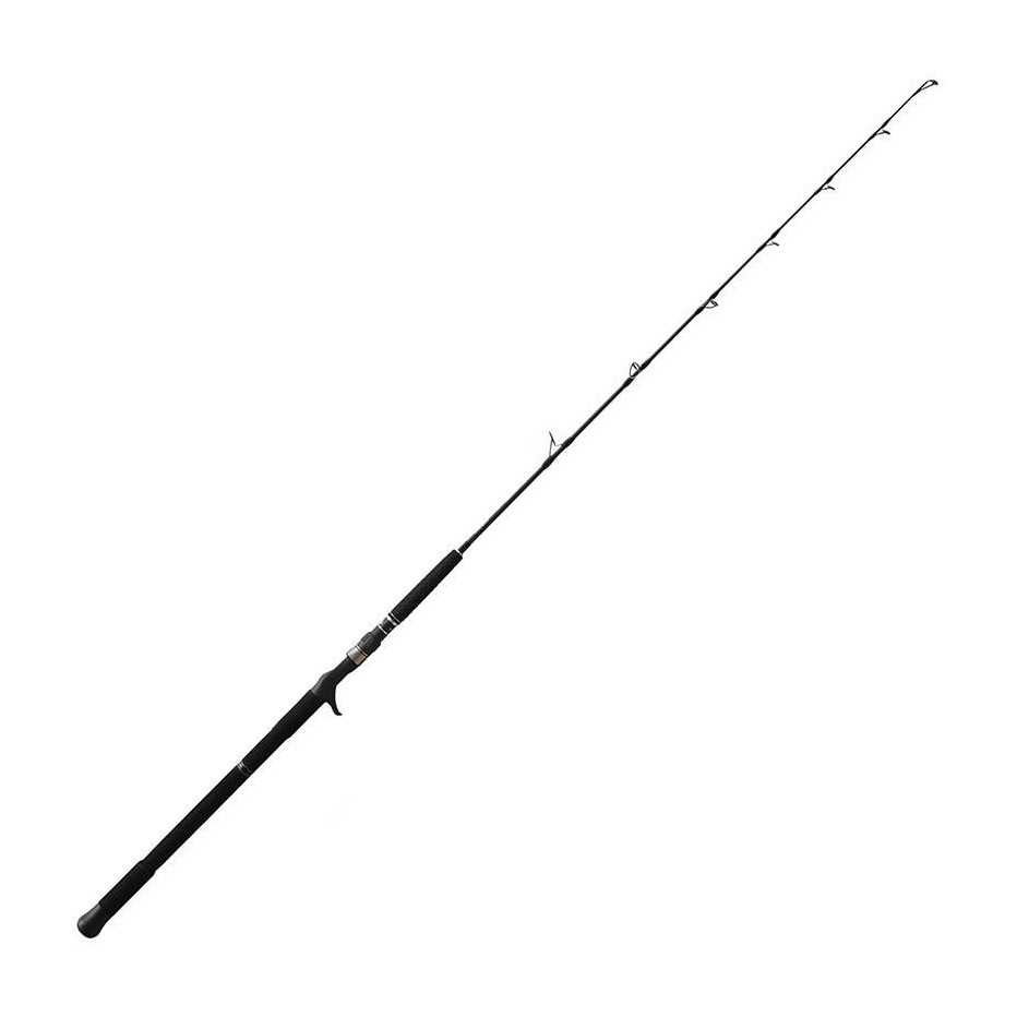 Baitcast Ruten NS Black Hole Boca Jigging