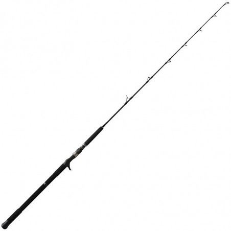 Casting Rod NS Black Hole Boca Jigging
