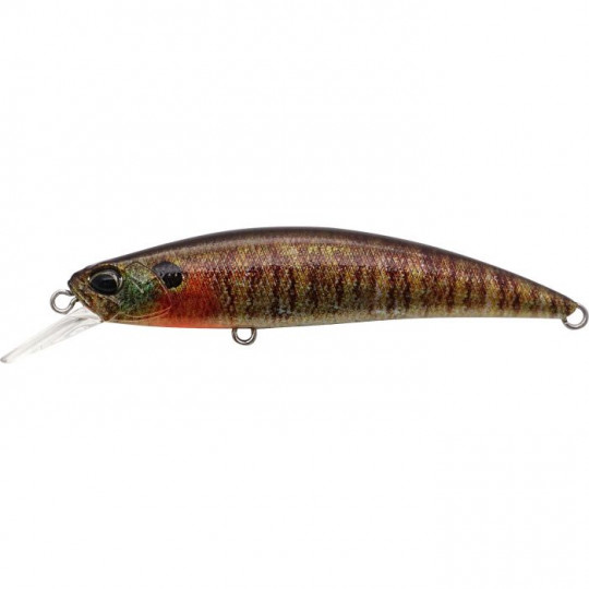 International Duo Nadador Spearhead Ryuki 60 S