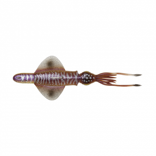 Gummifische Savage Gear Swim Squid RTF 25cm