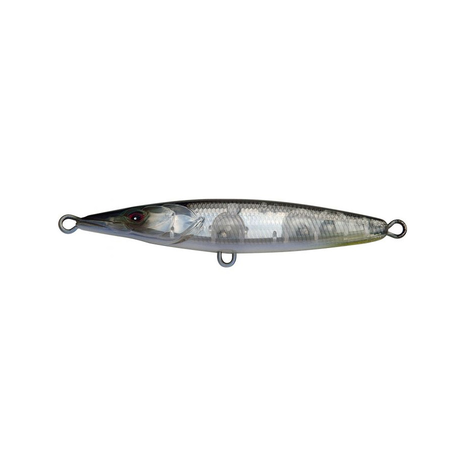 Poisson Nageur Xorus Asturie 150