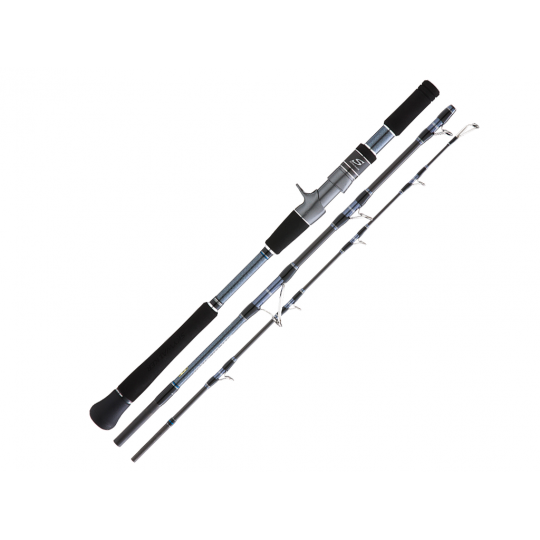 Baitcast Ruten Hearty Rise Skywalker Jigging