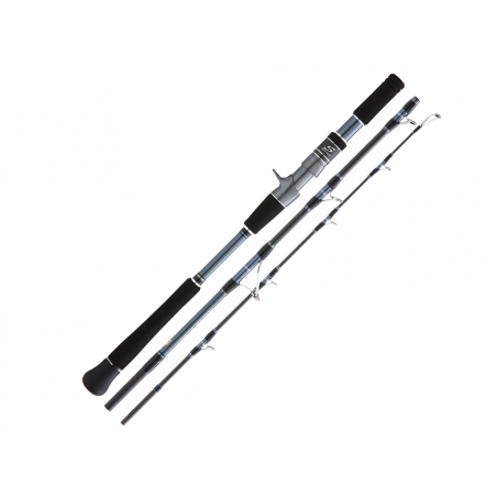 Casting Rod Hearty Rise Skywalker Jigging