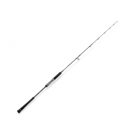 Spinning rod Hearty Rise Skywalker Slow Jigging