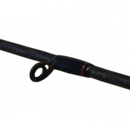 Spinning rod Shimano Zodias 2021 Fast