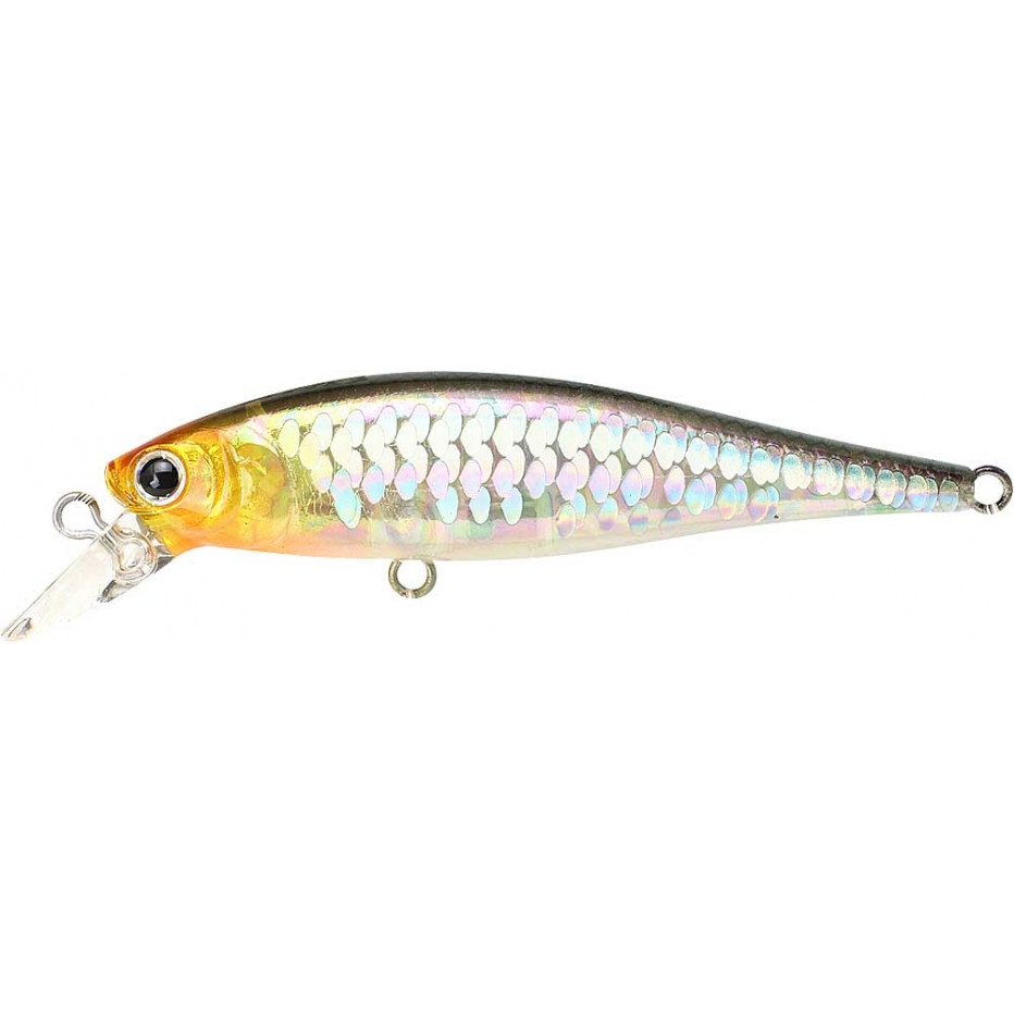 Lure Lucky Craft Pointer 65 SP