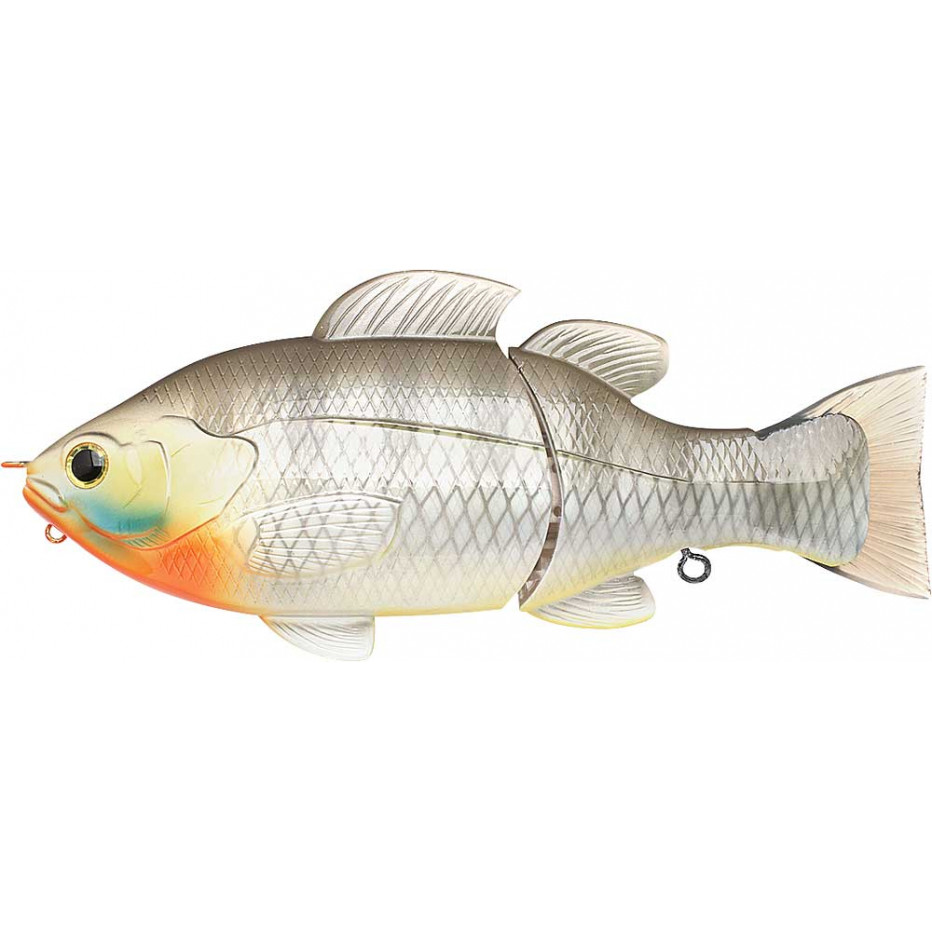 Poisson Nageur Lucky Craft Real BG 165S