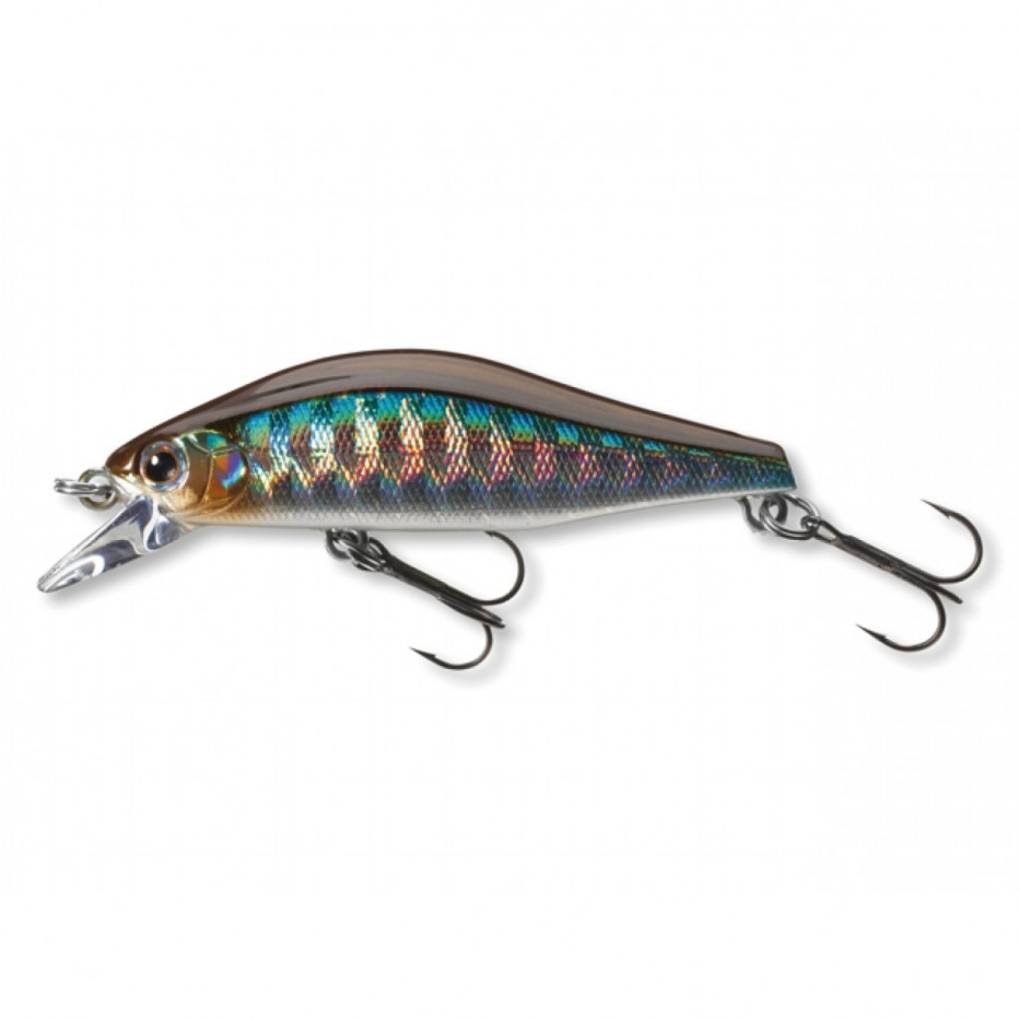 Señuelo duro Daiwa Tournament Wise Minnow 50 FS