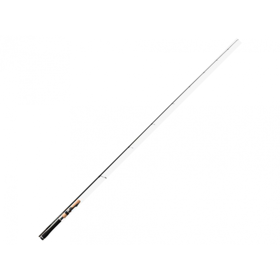Spinning Rod Tenryu Fast Finess L injection
