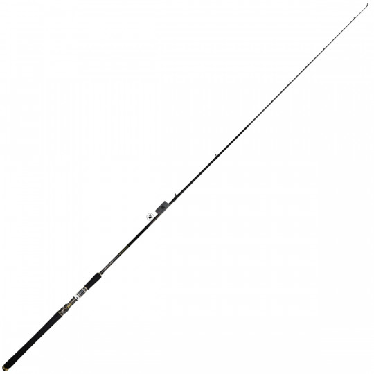 Baitcast Ruten Biwaa Waikhru Der Divinator 76 XH