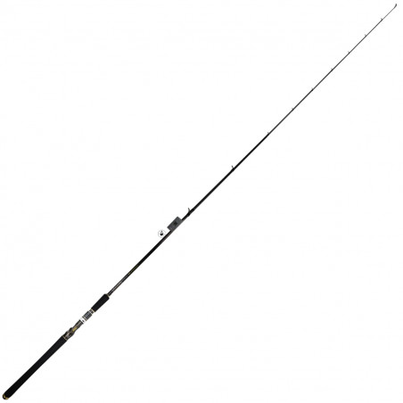 Baitcast Ruten Biwaa Waikhru Der Divinator 76 XH