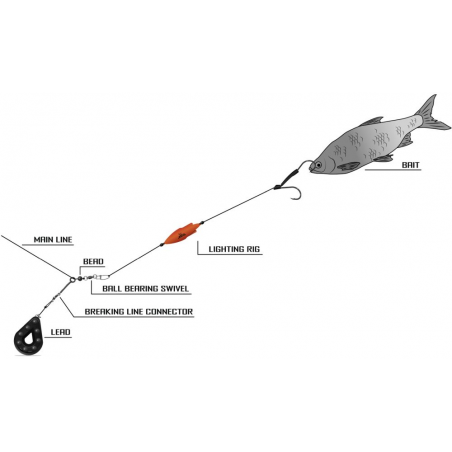 Montage Black Cat Beleuchtungsanlage