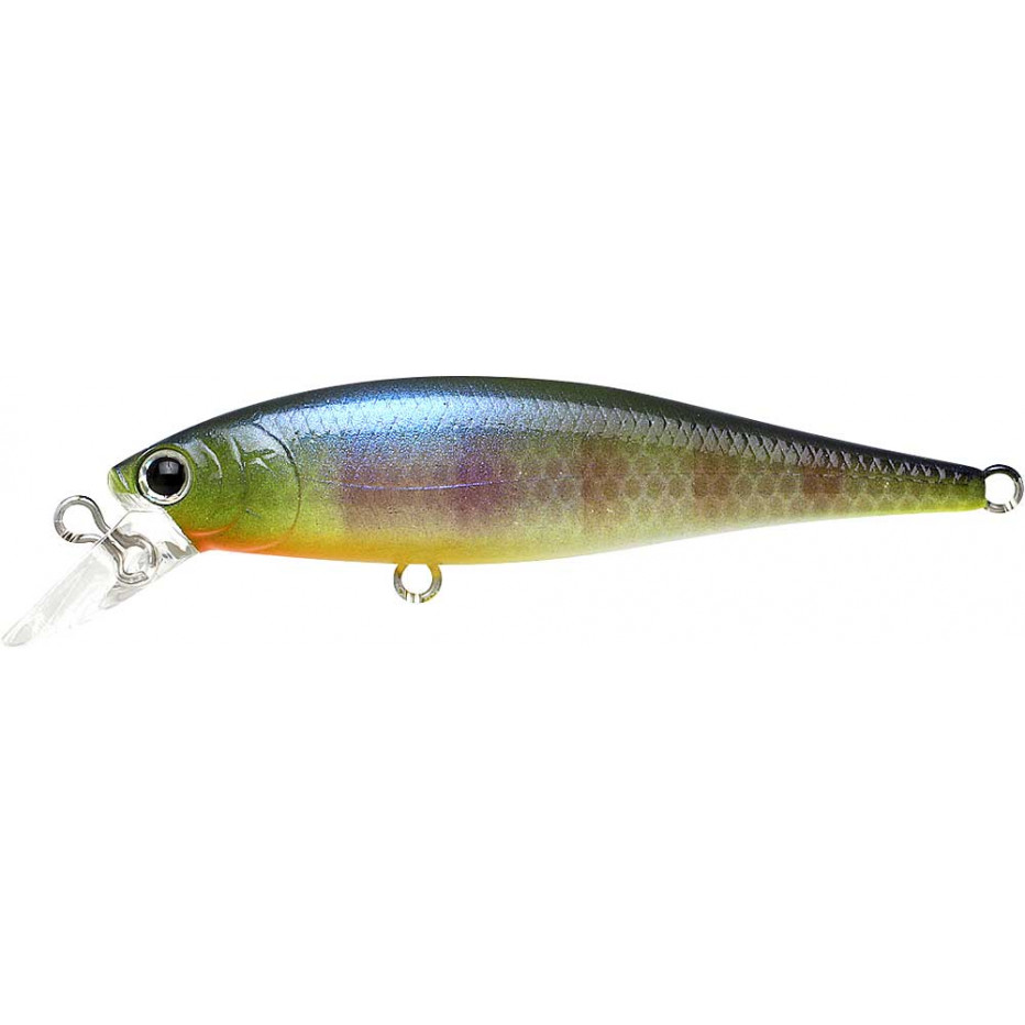 Lure Lucky Craft Pointer 65 SP