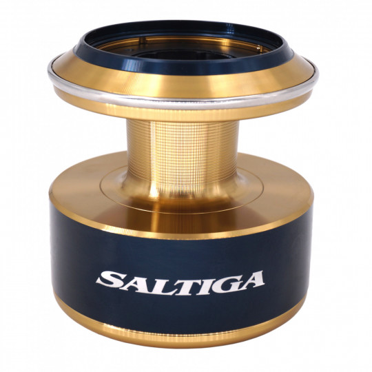 Spule Rolle Daiwa Saltiga 2020