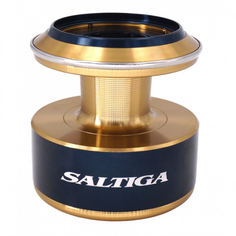 Spule Rolle Daiwa Saltiga 2020