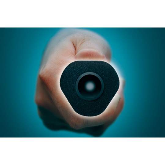 Spinnruten Zenaq Defi Muthos RG