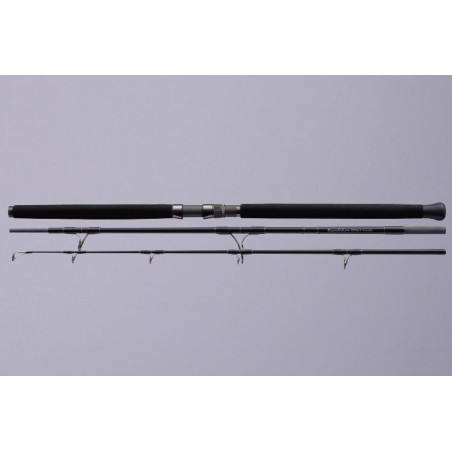 Spinning rod Zenaq Expedition