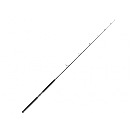 Spinning rod Zenaq Expedition