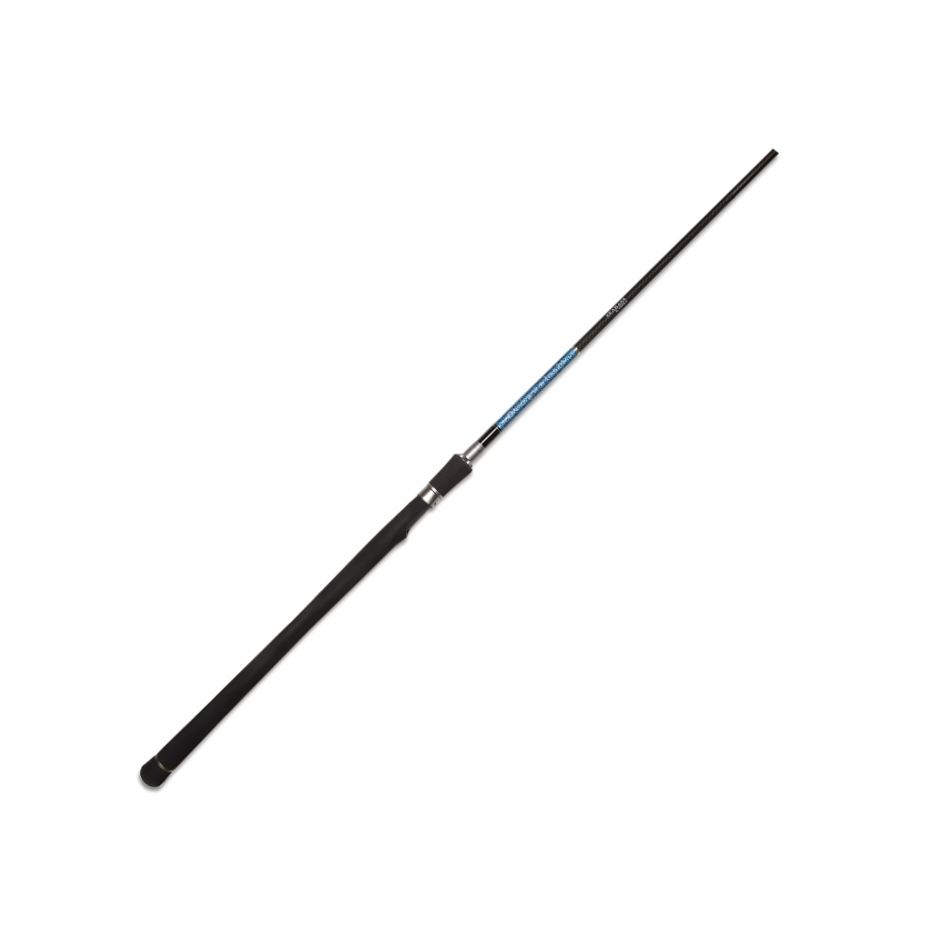 Canne Spinning Smith Dragonbait Sea Bass 100