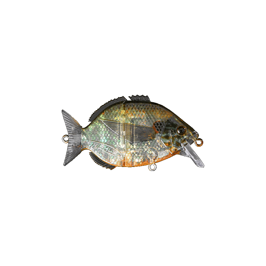 Fishus Esparall hard bait 7.6cm