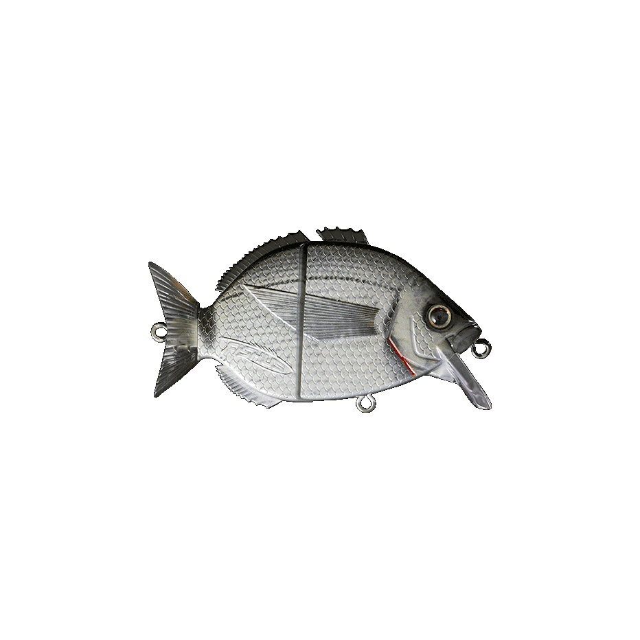 Fishus Esparall hard bait 7.6cm