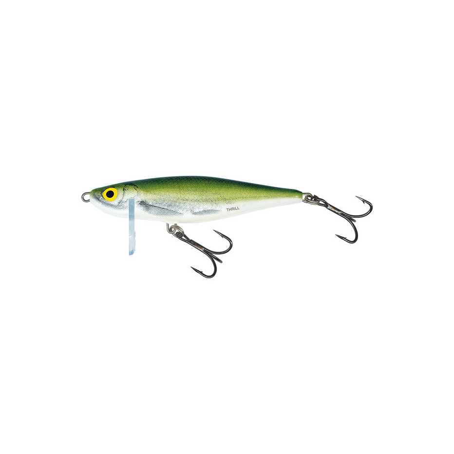 Hard Bait Salmo Thrill Sinking 5cm