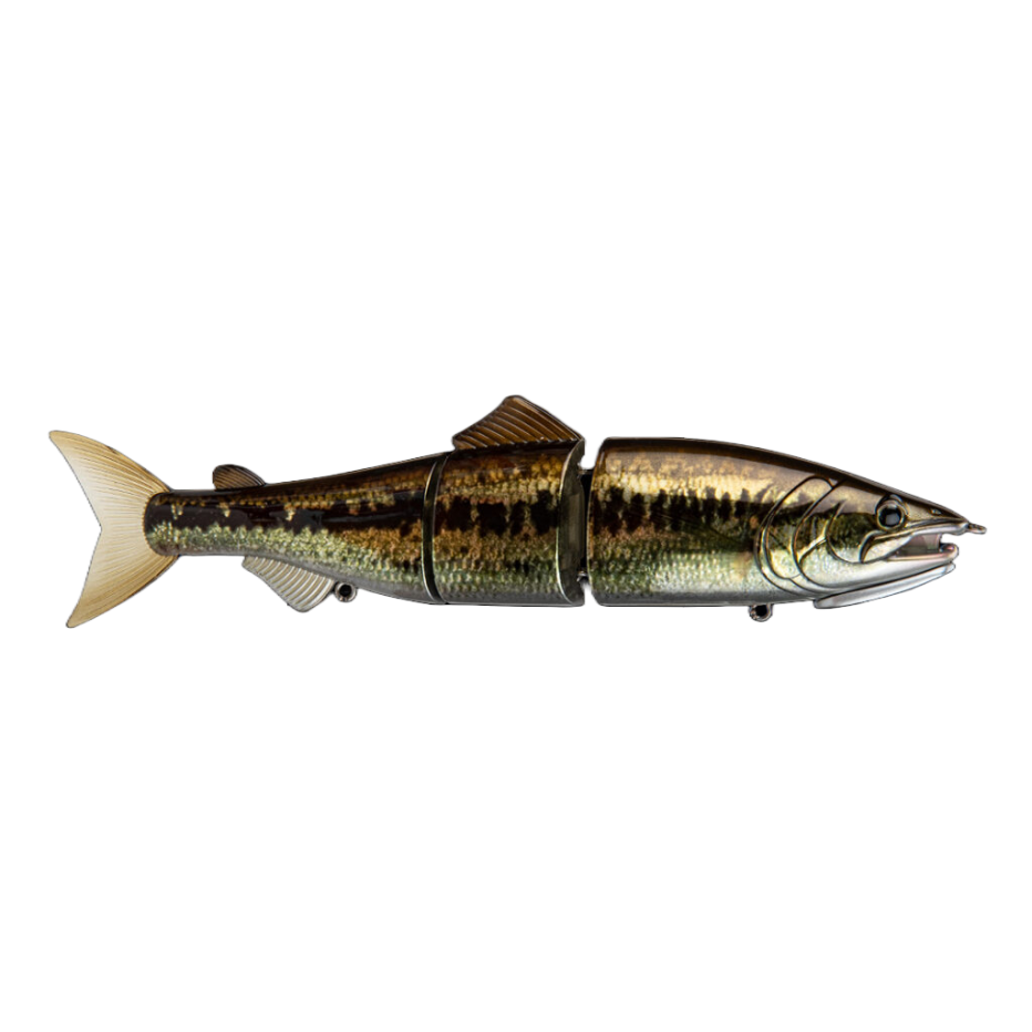 Poisson Nageur Zerek Affinity 22cm