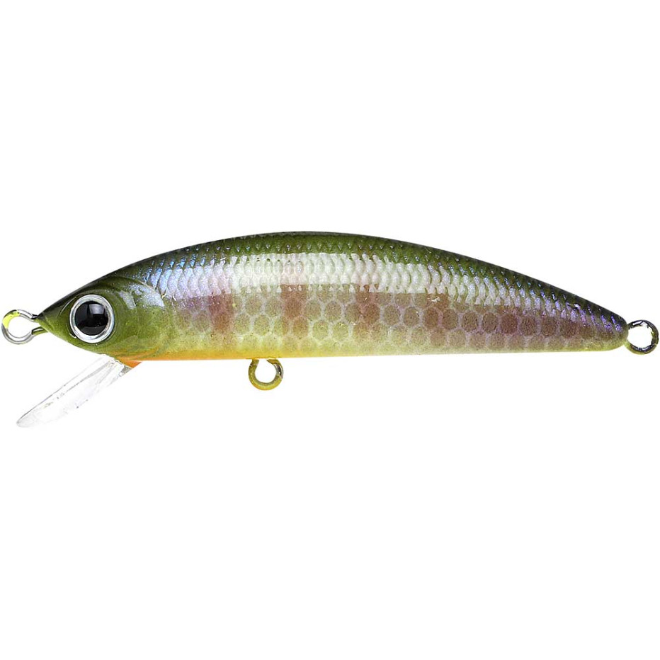Lure Lucky Craft Humpback Minnow 50 SP