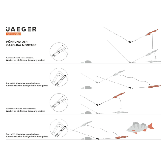 Montage Jaeger Carolina Rig