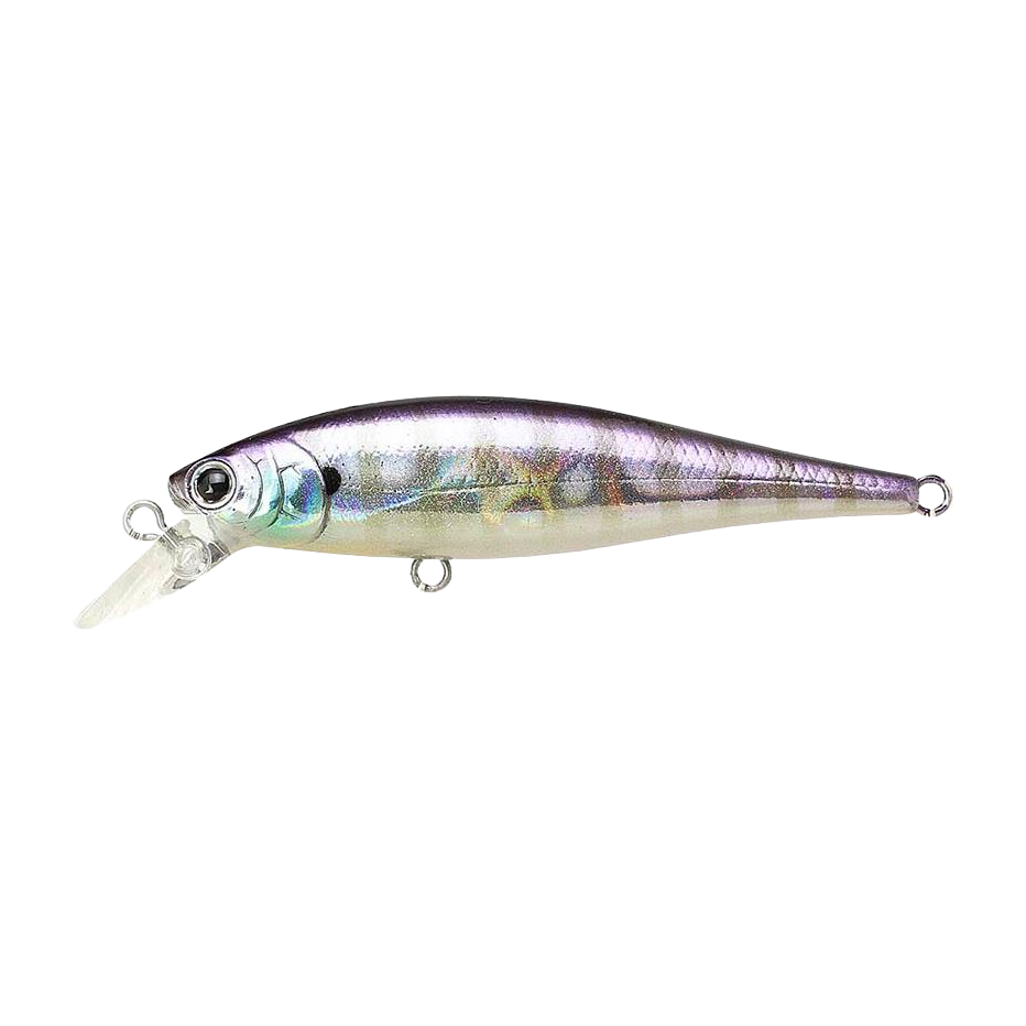 Señuelo Lucky Craft Pointer 65 SP