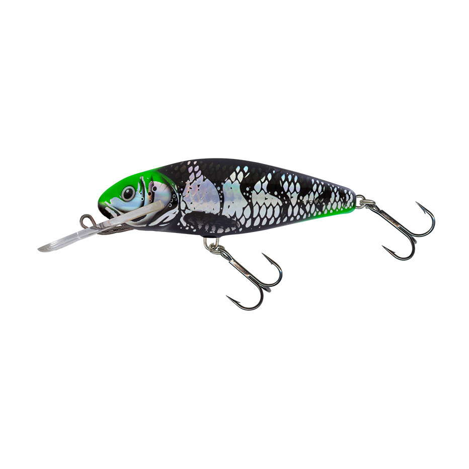 Hard bait Salmo Perch