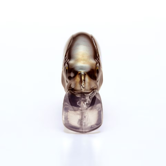 Hard Bait Shimano Cardiff Refrain 50HS