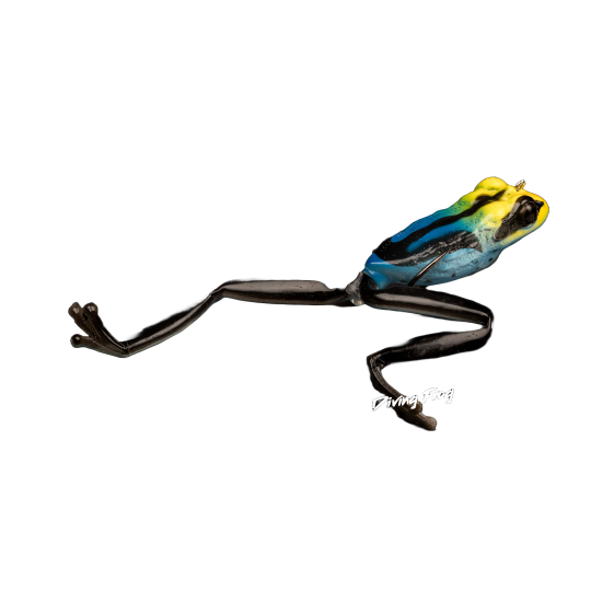 Leurre Souple Kahara Diving Frog 6cm