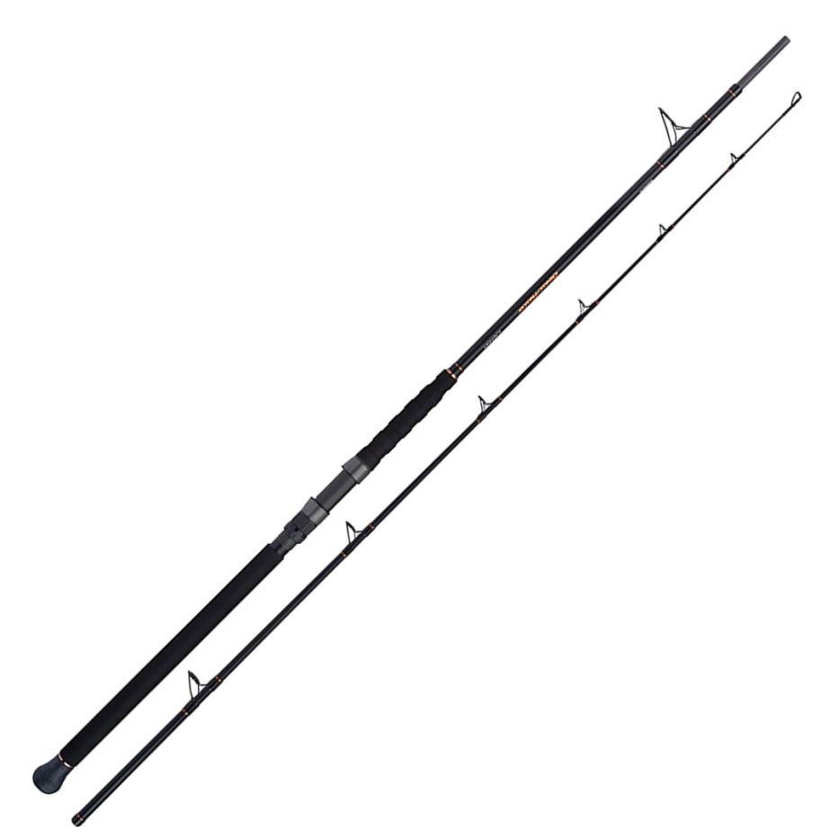 Canne Silure Shimano Beastmaster Catfish Vertical