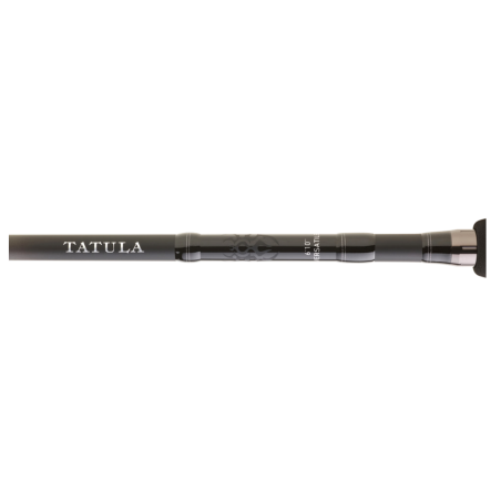 Casting Rod Daiwa Tatula Cranking 2023