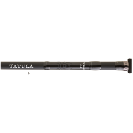 Spinning rod Daiwa Tatula Monobrin 2023