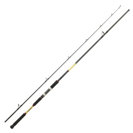 Spinning Rod Daiwa Grandwave Shore Jig