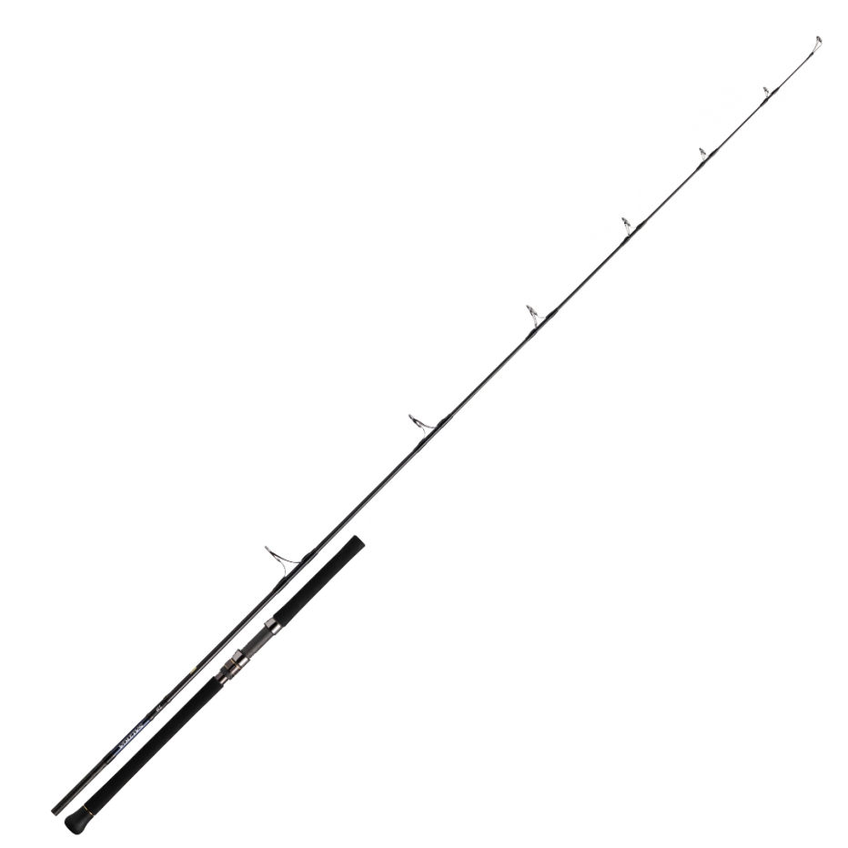 Spinnruten Daiwa Saltiga Casting