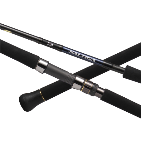 Spinning Rod Daiwa Saltiga Casting