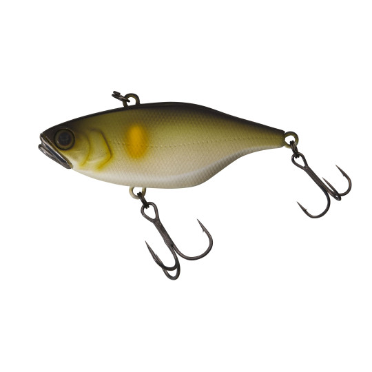 Poisson Nageur Illex TN 80