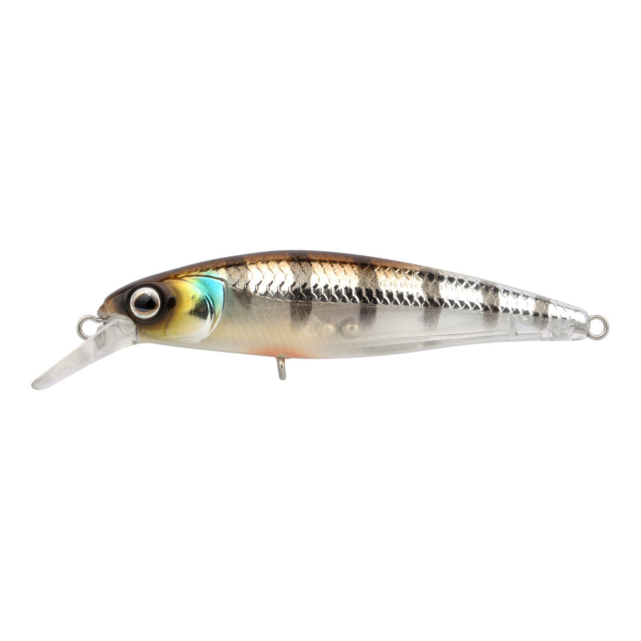 Hard bait Spro Ikiru Jerk 65 FS
