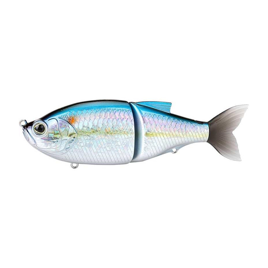Poisson Nageur Biwaa Glidebeast 160S