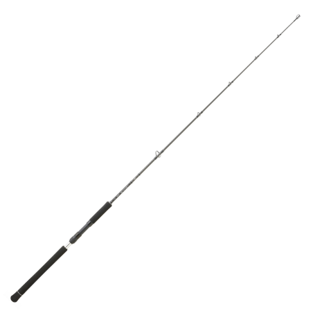 Caña Spinning Daiwa Legalis Jigging 2023