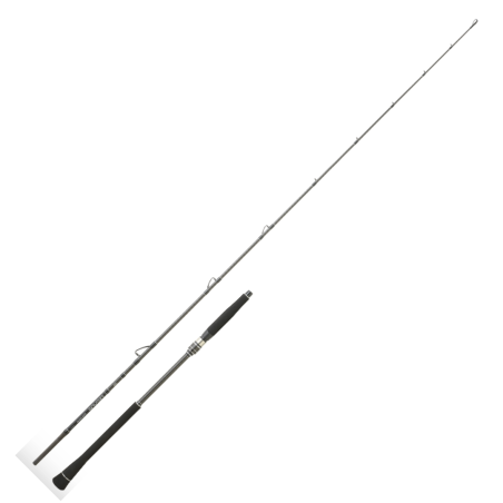 Spinning Rod Daiwa Legalis Jigging 2023